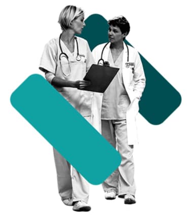 Latuta plus - access